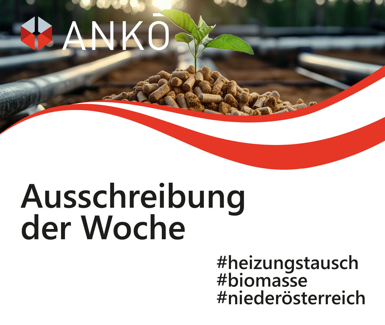 ANKOE_AusschreibungDerWoche-115